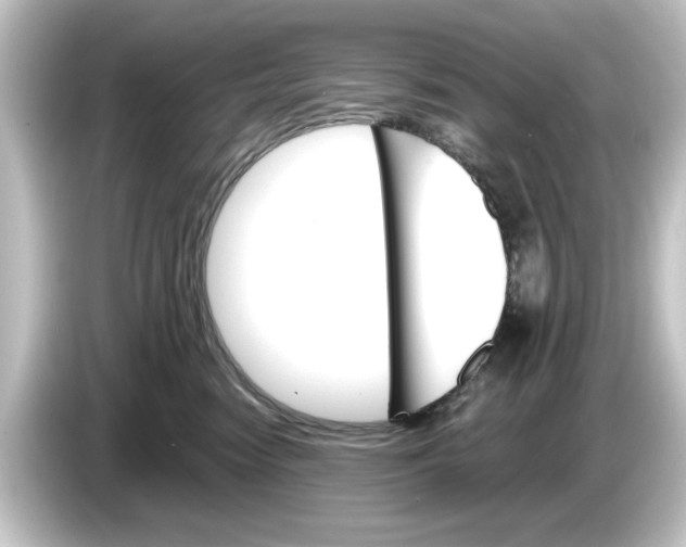 X0000084540474200703161631