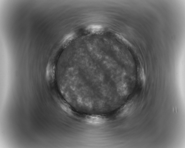 X0000084540475200703161631