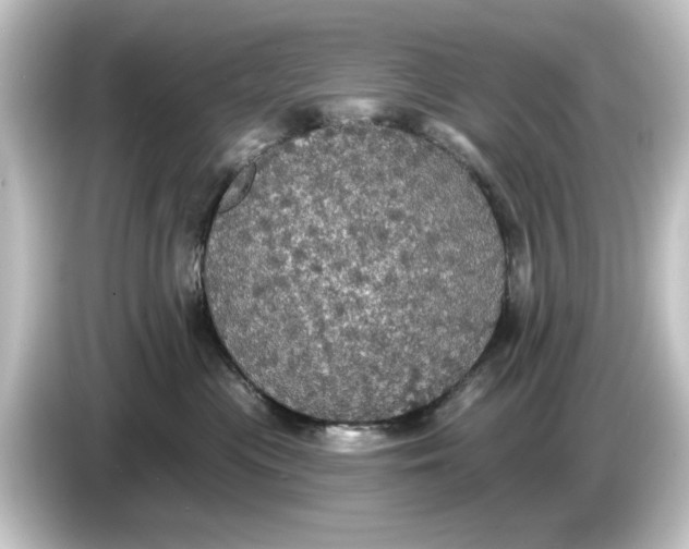 X0000084540477200703161631