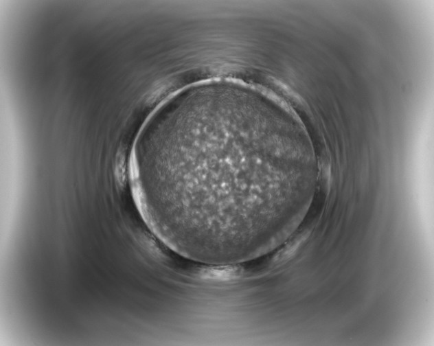 X0000084540479200703161631