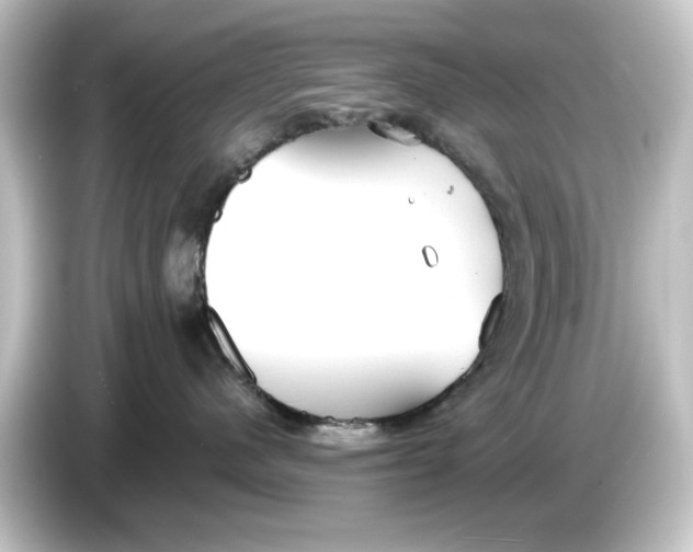 X0000084540480200703161631