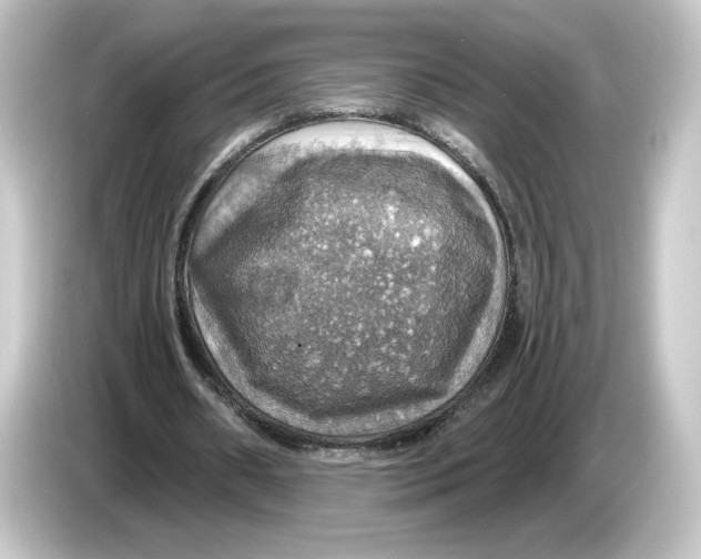 X0000084540482200703161631