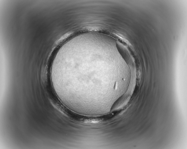 X0000084540492200703161631