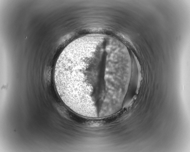 X0000084540495200703161631