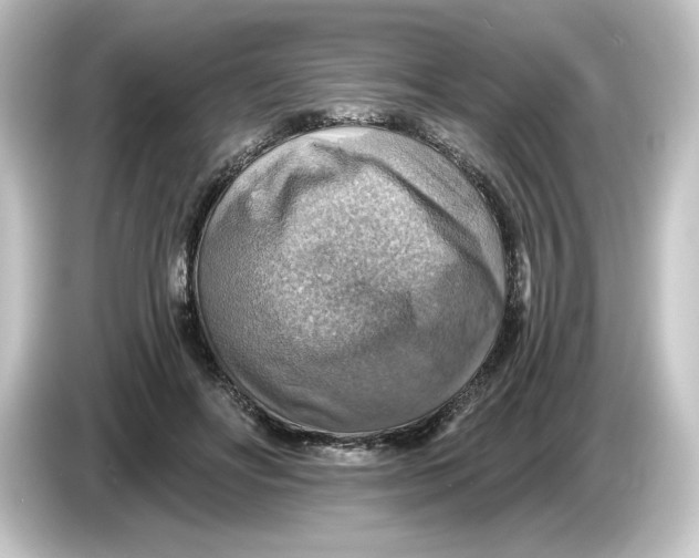 X0000084540502200703161630