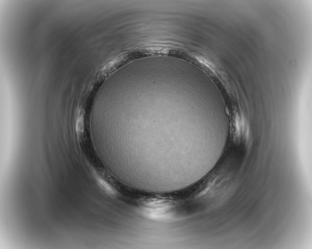 X0000084540504200703161630