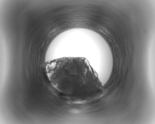 X0000084540507200703161630