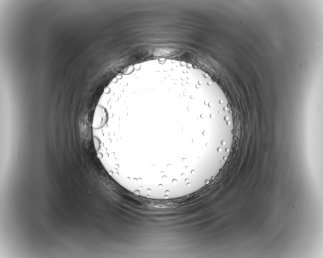 X0000084540510200703161630