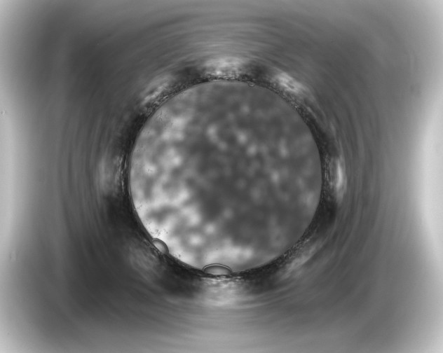 X0000084540511200703161630