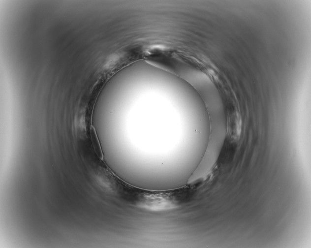 X0000084540516200703161630