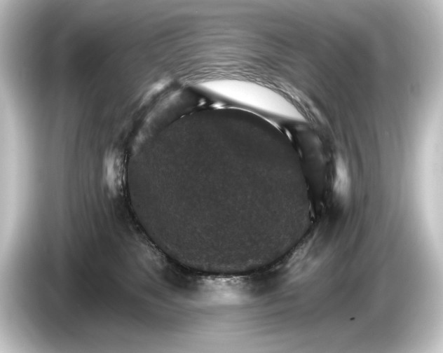 X0000084540517200703161630