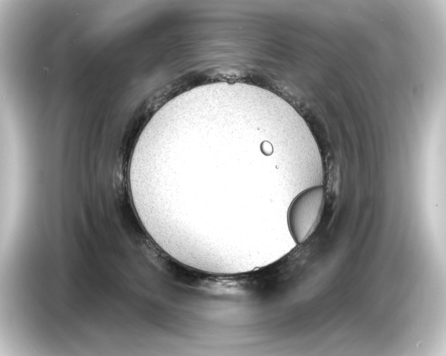 X0000084540518200703161630