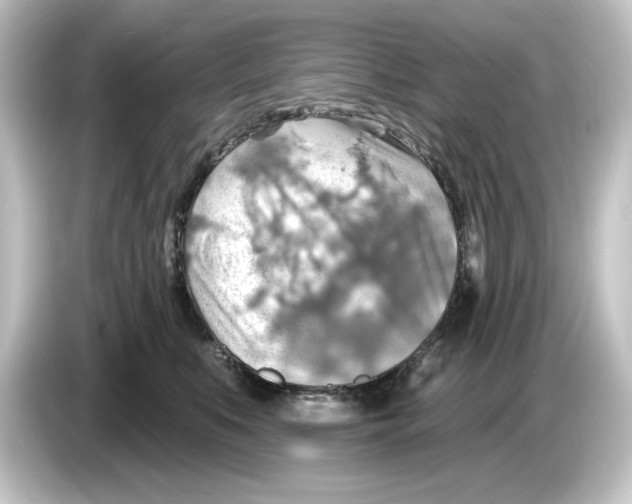 X0000084540519200703161630