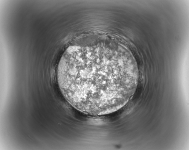 X0000084540523200703161630