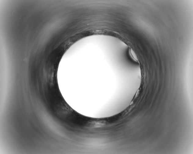 X0000084540525200703161630