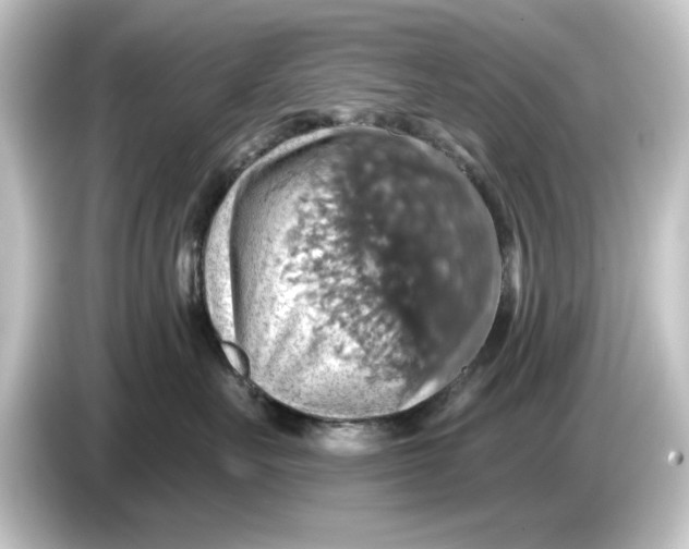 X0000084540527200703161630