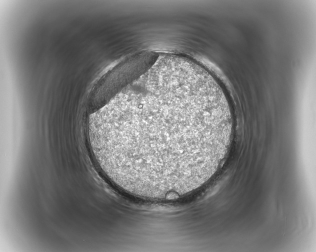 X0000084540529200703161630