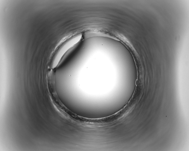 X0000084540530200703161630