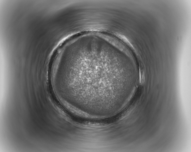 X0000084540531200703161630