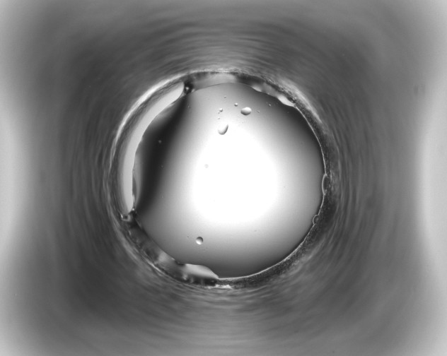 X0000084540532200703161630