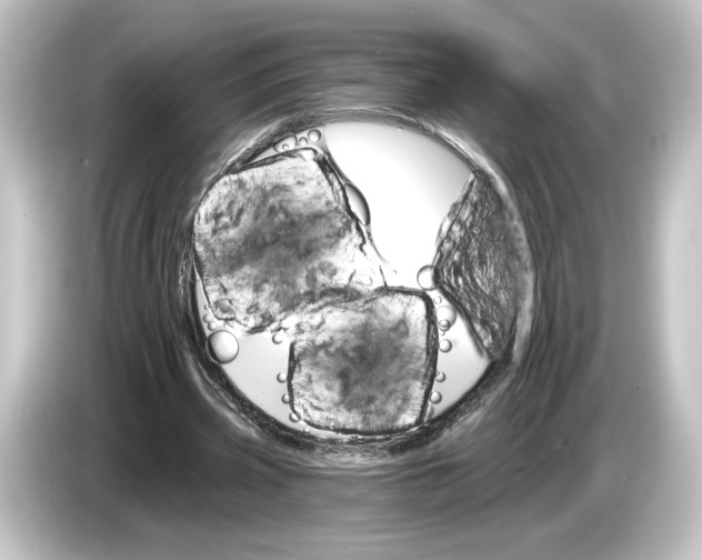 X0000084540533200703161630