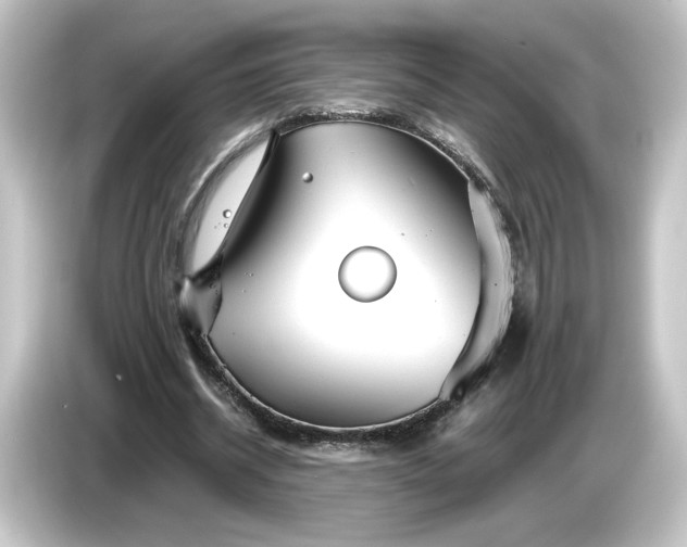 X0000084540534200703161630