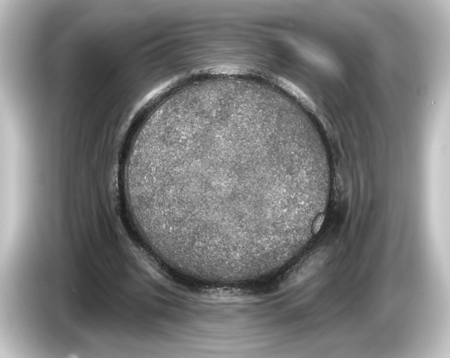 X0000084540535200703161630