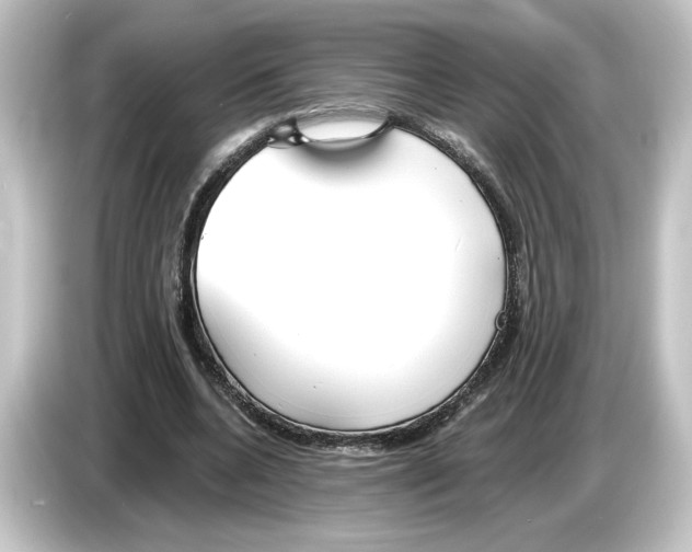 X0000084540536200703161630