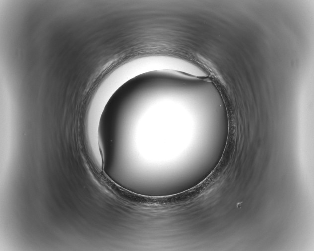 X0000084540538200703161630