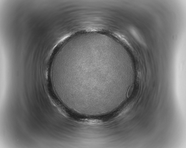 X0000084540539200703161630