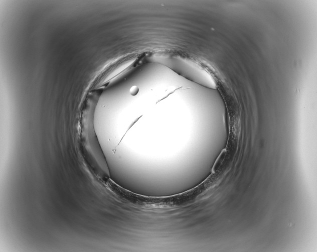 X0000084540540200703161630