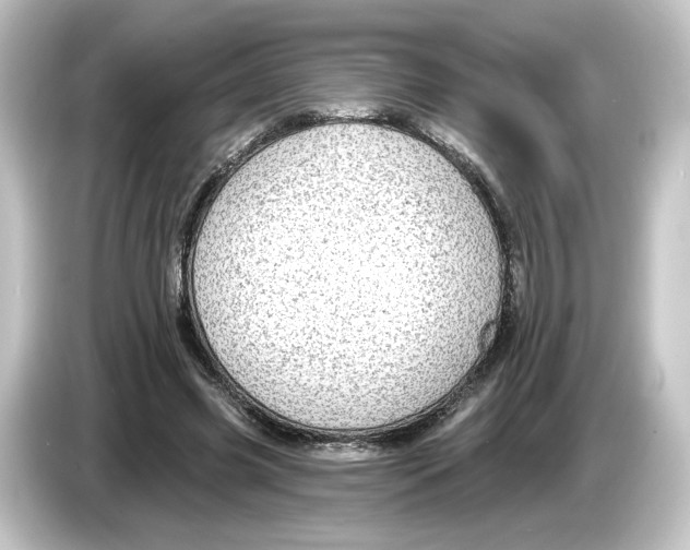 X0000084540541200703161630