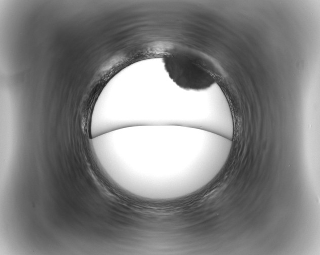 X0000084540542200703161630