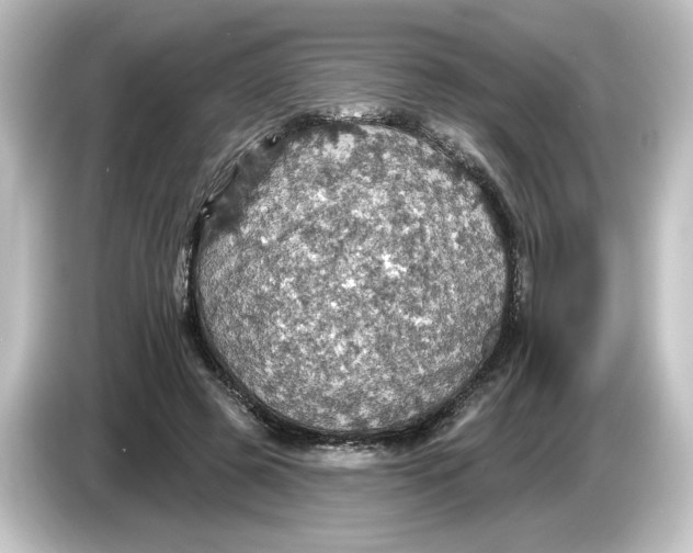 X0000084540545200703161630