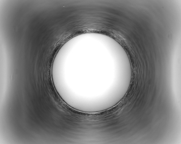 X0000084540546200703161630