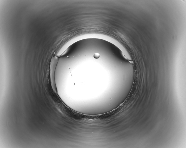 X0000084540548200703161630