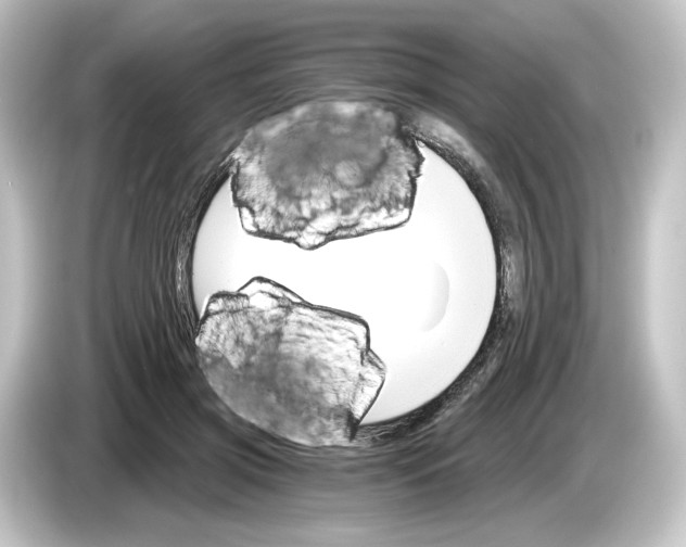 X0000084540549200703161630