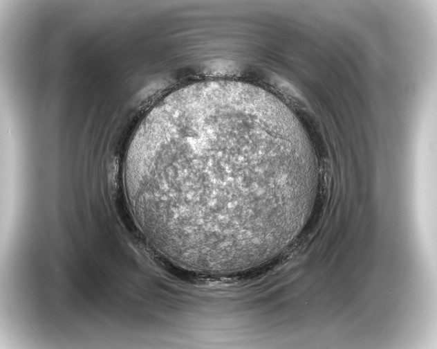 X0000084540550200703161630