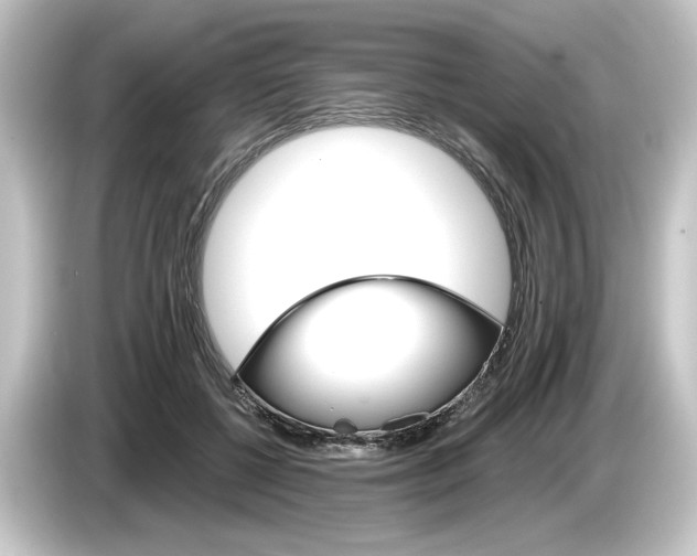 X0000084540552200703161630