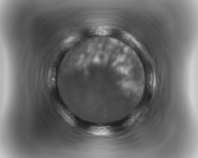 X0000084540553200703161630