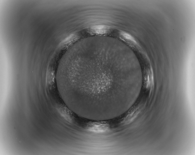 X0000084540555200703161630