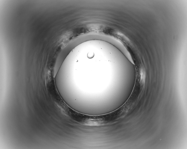 X0000084540556200703161630