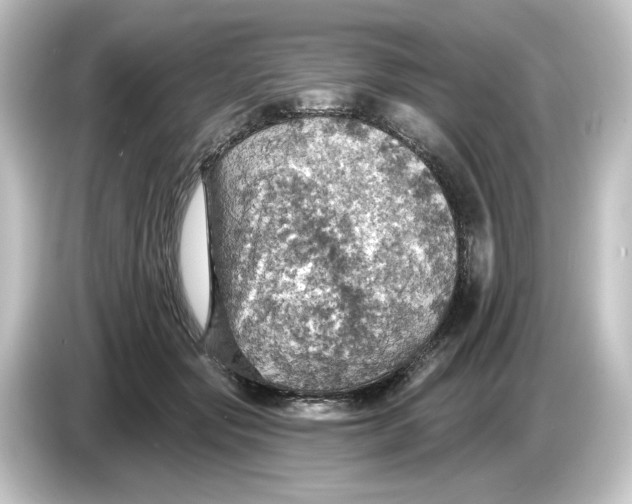 X0000084540557200703161630