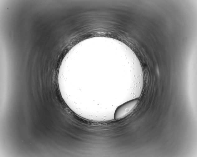 X0000084540559200703161630