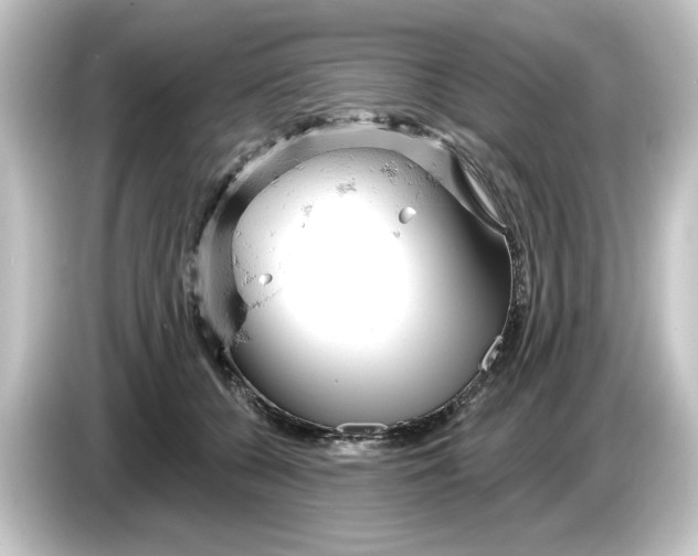 X0000084540560200703161630