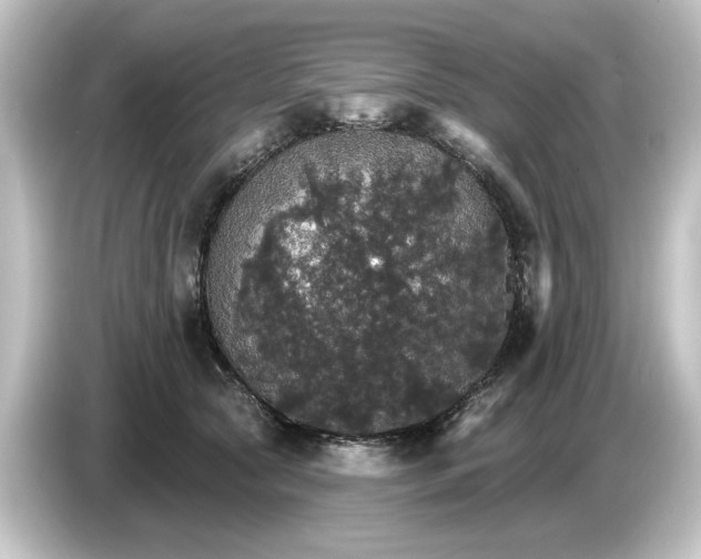 X0000084540561200703161630