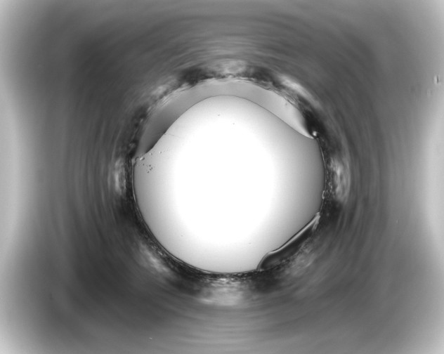 X0000084540562200703161630