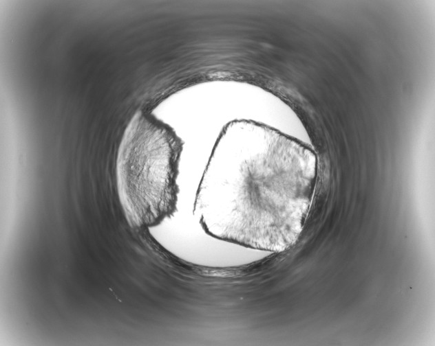 X0000084540565200703161630