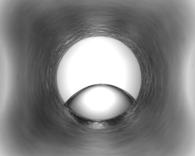 X0000084540566200703161630