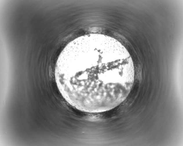 X0000084540569200703161630